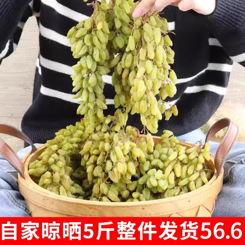 新疆绿葡萄干非特级超大独小包装提子干免洗散装新货大颗粒5斤装