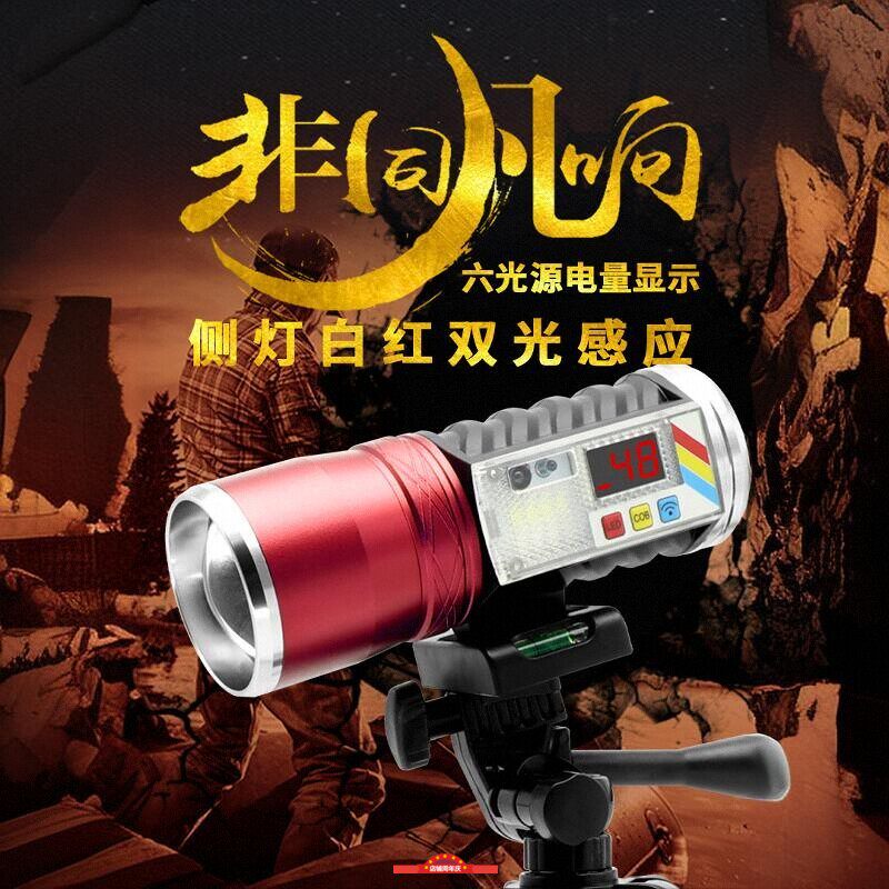 六光源夜钓灯钓鱼灯夜钓感应饵灯