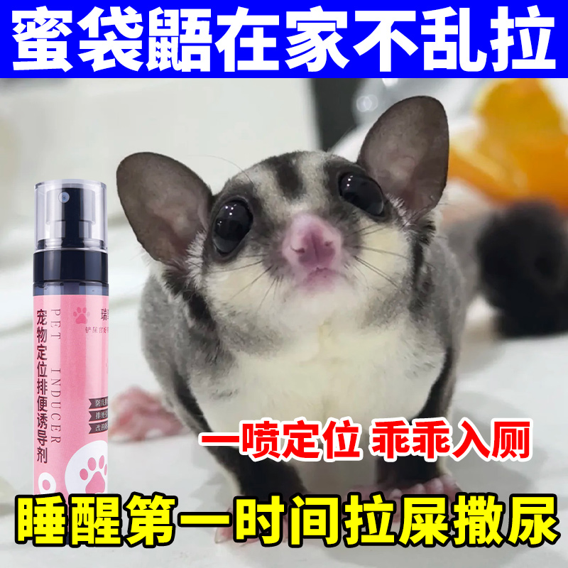 蜜袋鼯定点排便诱导剂专用防乱拉