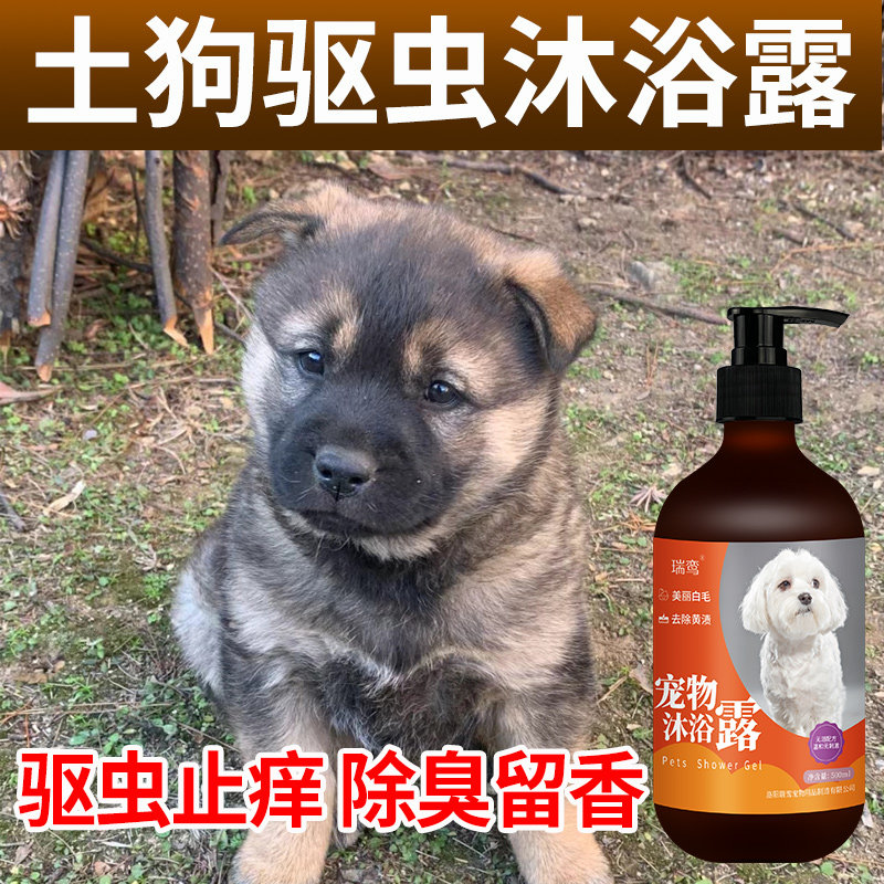狗狗沐浴露土狗专用狗洗澡沐浴液驱虫止痒持久留香田园犬宠物通用