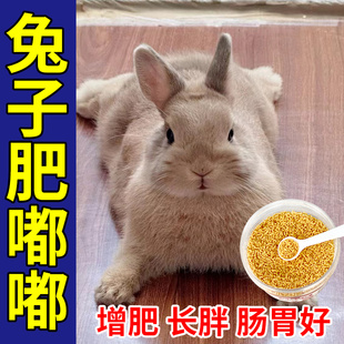 兔子增肥发腮专用营养补充剂兔兔挑食厌食没精神宠物电解质维生素