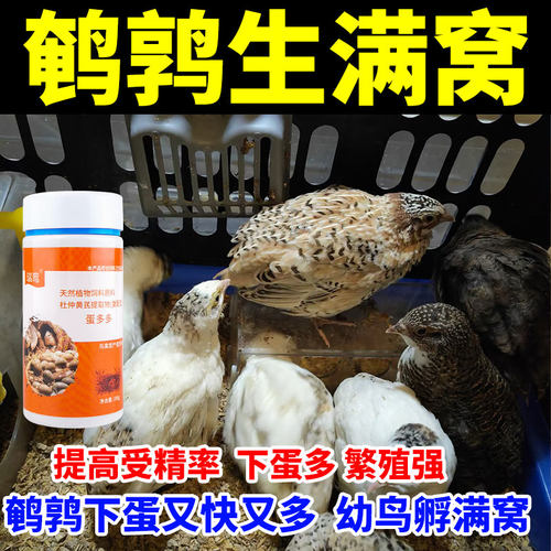鹌鹑下蛋饲料催鸟交配增蛋宝