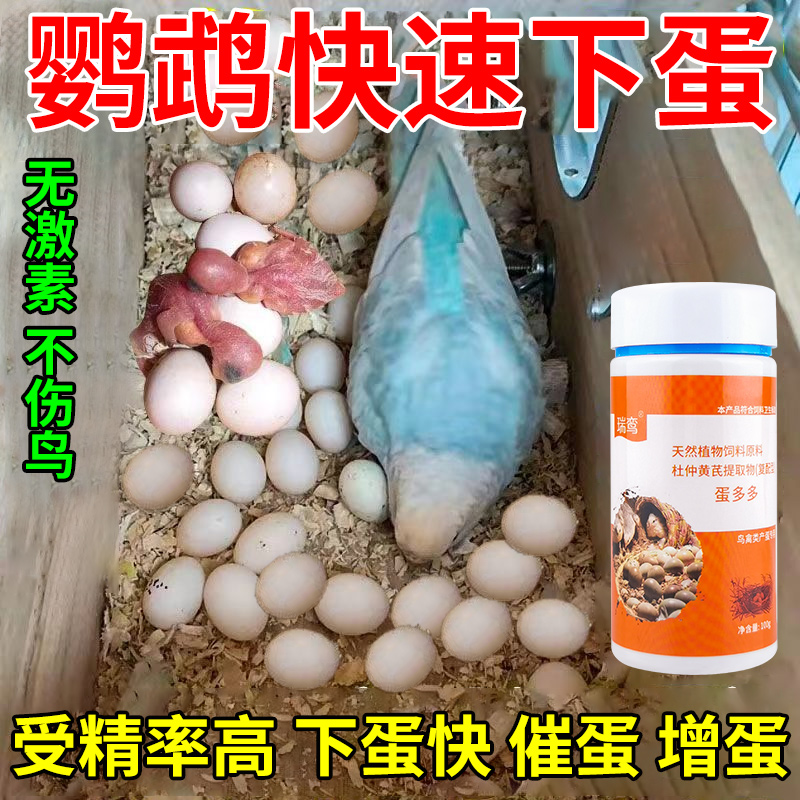 鹦鹉专用下蛋饲料催蛋提高受精率