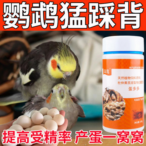 蛋多多鹦鹉下蛋专用增蛋宝