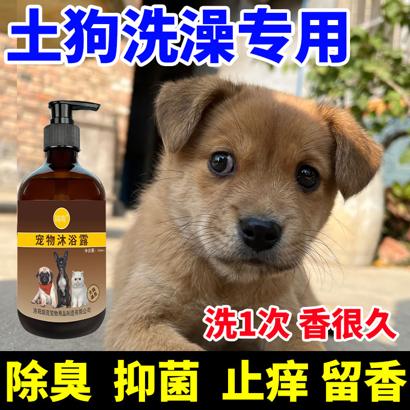 中华田园犬土狗专用沐浴露去虱止狗香波浴液