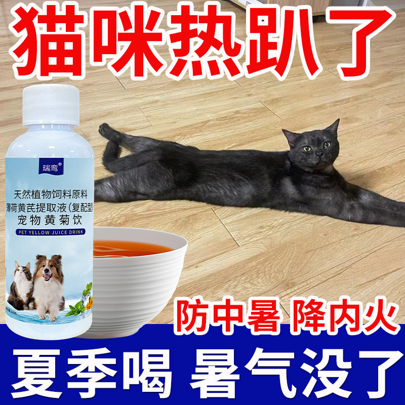 猫咪清热去火防中暑菊花茶除口臭祛泪痕解暑降温宠物上火降火凉茶