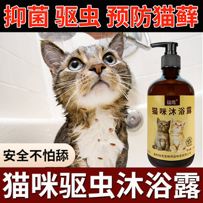 猫咪洗澡专用沐浴露去跳蚤给猫猫小猫洗澡的沐浴露驱虫止痒猫用