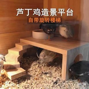 宠物芦丁鸡平台鸡窝楼梯全套仓鼠躲避窝造景用品木屋房子别墅用品