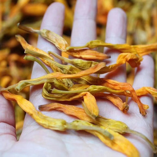 2023新货无熏硫黄花菜干货土特产台湾品种金针菜250克包邮