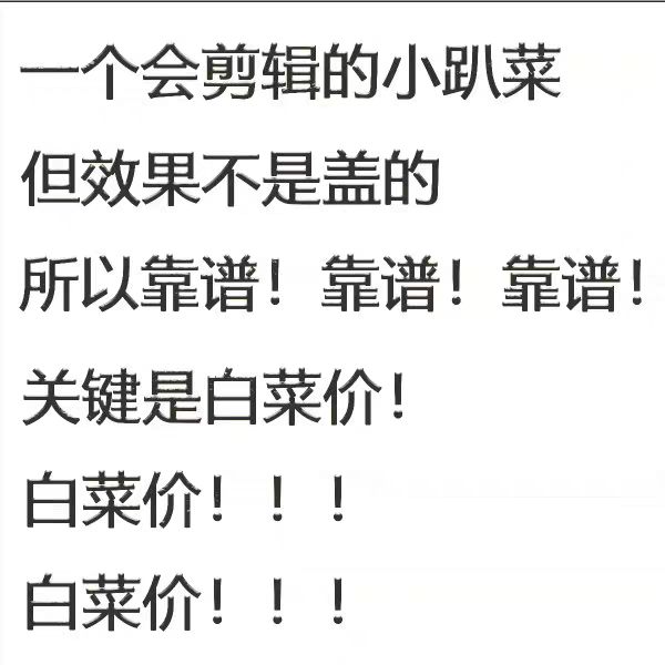 短视频制作pr剪辑代做ae年会片头企业宣传片个人vlog记录片抖音
