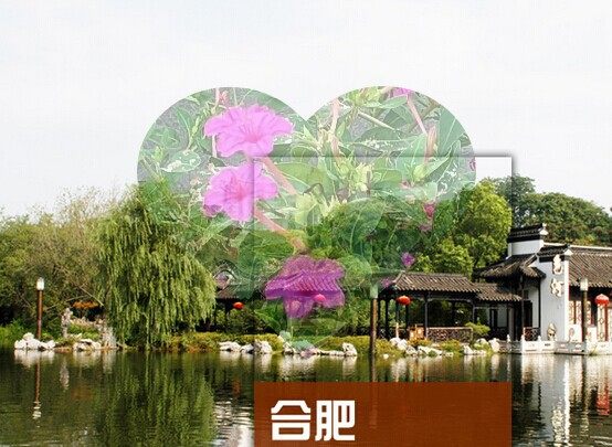 2025安徽合肥旅游攻略图（电子版）自助游自由行景点美食旅行指南,商务/设计服务,设计素材/源文件,淘宝优惠券,粉丝福利购,淘宝优惠卷