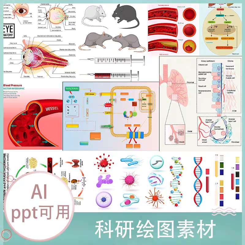 ai模板科研绘图素材ppt医学插画器官细胞流程图片png生物作图资料