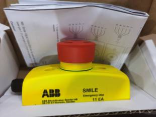 原装 Smile 2TLA00051R0000询价 ABB安全产品