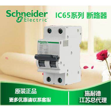 正品施耐德微型断路器 IC65N 2P C10A A9F18210询价