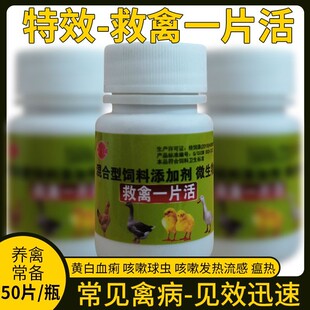 救禽一片活 特效鸡病液养鸡三宝重症死不了批发鸡鸭鹅鸽子救禽王