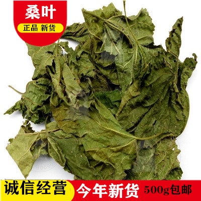 中药材 野生霜桑叶 冬桑叶 桑叶茶 500克 包邮