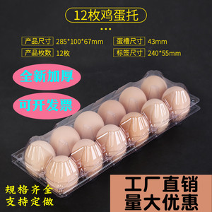 中号透明吸塑初生100个鸡蛋托