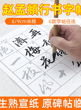 赵孟頫梅花诗帖行书毛笔临摹字帖成人书法初学者练字入门练习纸赵孟俯行楷描红贴专用半生熟宣纸毛笔字套装