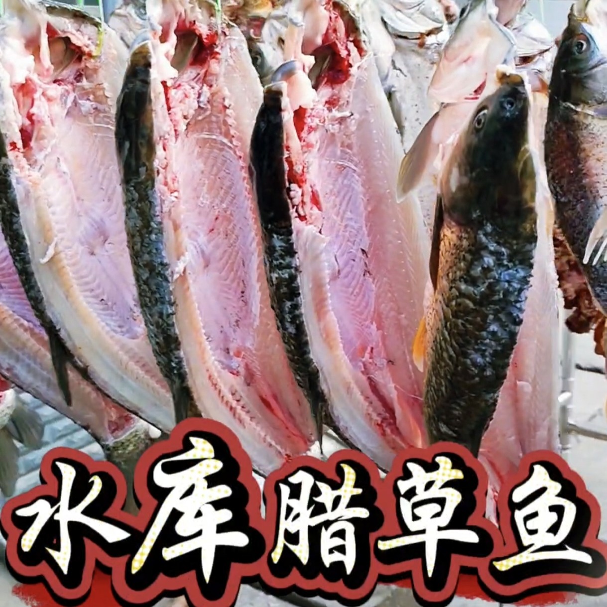 【腊草鱼】信阳新县农家特产风干本地草鱼腊草鱼草鱼块整条发货