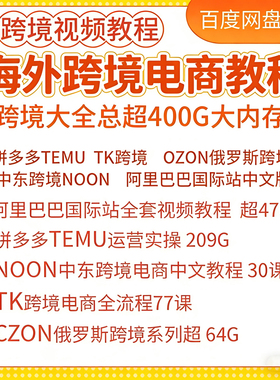 TEMU跨境电商全套TK运营OZON俄罗斯阿里巴巴国际店课程视频教程