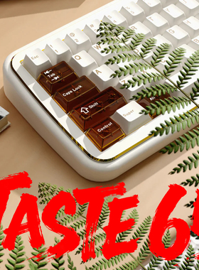 TASTE65机械键盘客制化套件三模快拆2.4g蓝牙无线铝坨坨铝合金