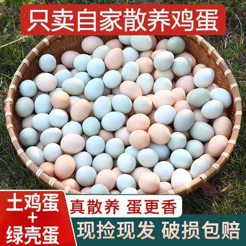 正宗新鲜谷物饲养农家散养土鸡蛋
