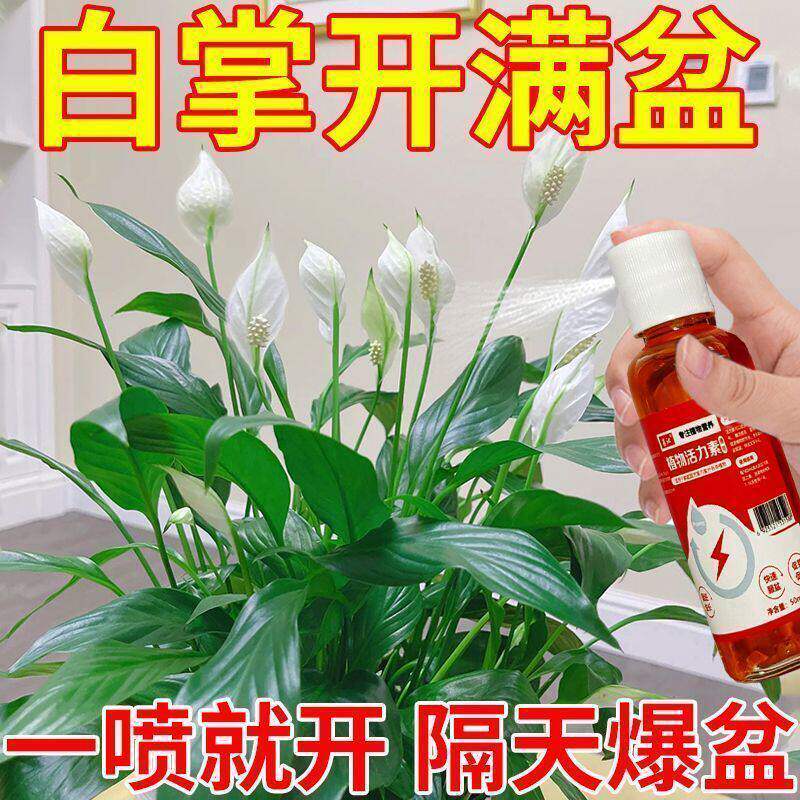 2026款白掌红掌营养液防黄叶烂根不开花一帆风顺促芽壮根催开花肥
