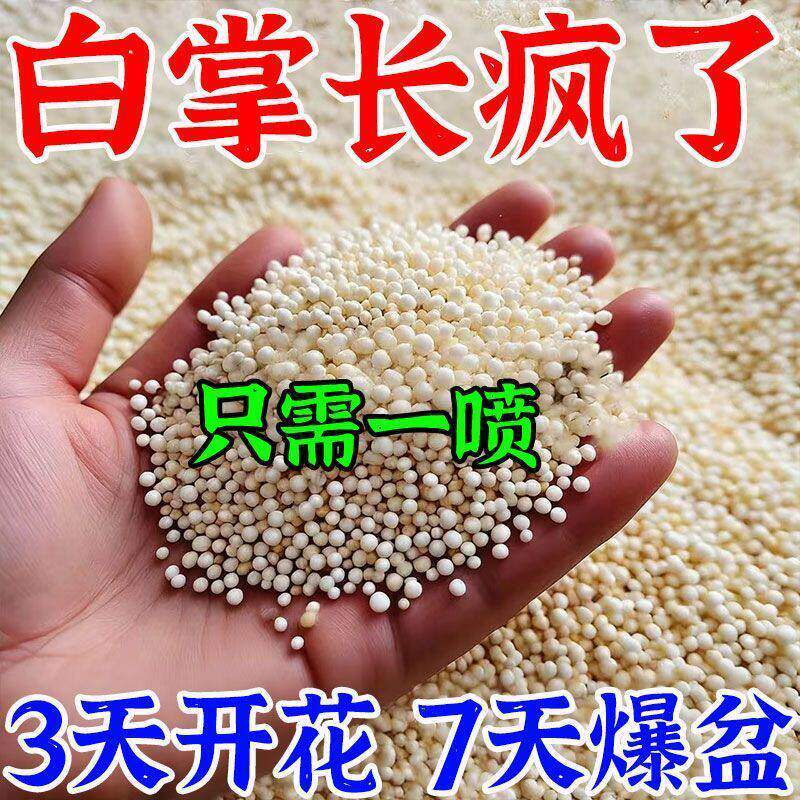2026款白掌红掌营养液防黄叶烂根不开花一帆风顺促芽壮根催开花肥