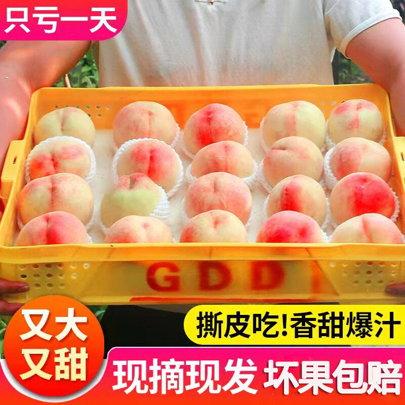 现货现摘正宗水蜜桃新鲜水果脆甜毛桃子孕妇应季白凤软桃当季蜜桃