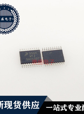 IC 芯片 S9S08SG4E2MTJ TSSOP20 SSG4MTJ 集成电路 现货供应