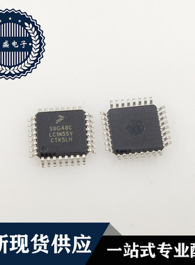 IC 芯片 S9G48CLC1N55V QFP32  集成电路 现货供应