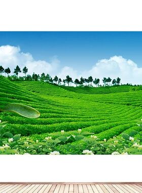 绿色茶山茶园茶叶海报制作茶馆茶叶店客厅茶楼贴画自然风景墙画9