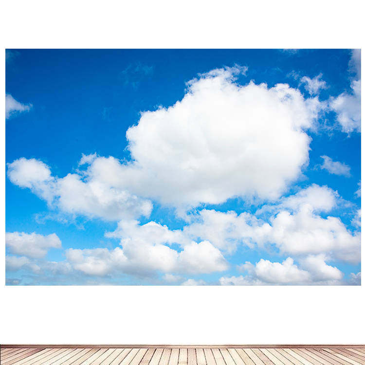蔚蓝的天空晴天青天蓝天白云客厅卧室墙贴装饰画青空晴空自粘4