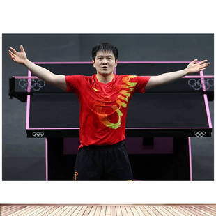 乒乓球明星樊振东男单夺冠海报房间卧室寝室背景墙贴画墙画2