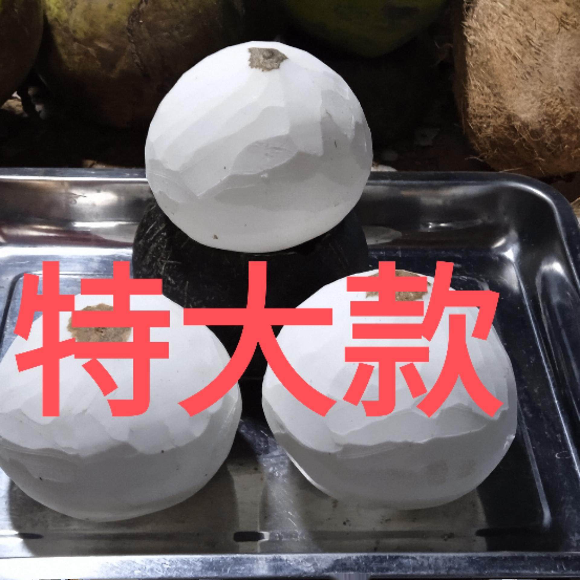 纯天然特大海南老椰子蛋椰子鸡汤/火锅/椰奶材料多用款