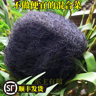 发菜干货土特产免洗发财菜汤龙须菜海发菜正宗头发菜50克顺丰包邮