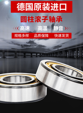 德国原装进口圆柱滚子轴承 N 1008 1010 1014 1018 1020EM C3 P5