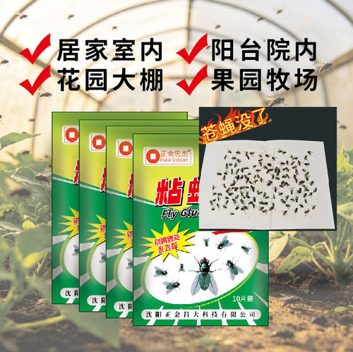 苍蝇贴家用粘蝇板强力粘蝇