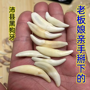 原色原牙真黑狗牙项链情侣狼狗牙藏獒牙吊坠儿童饰品手链脚链挂件