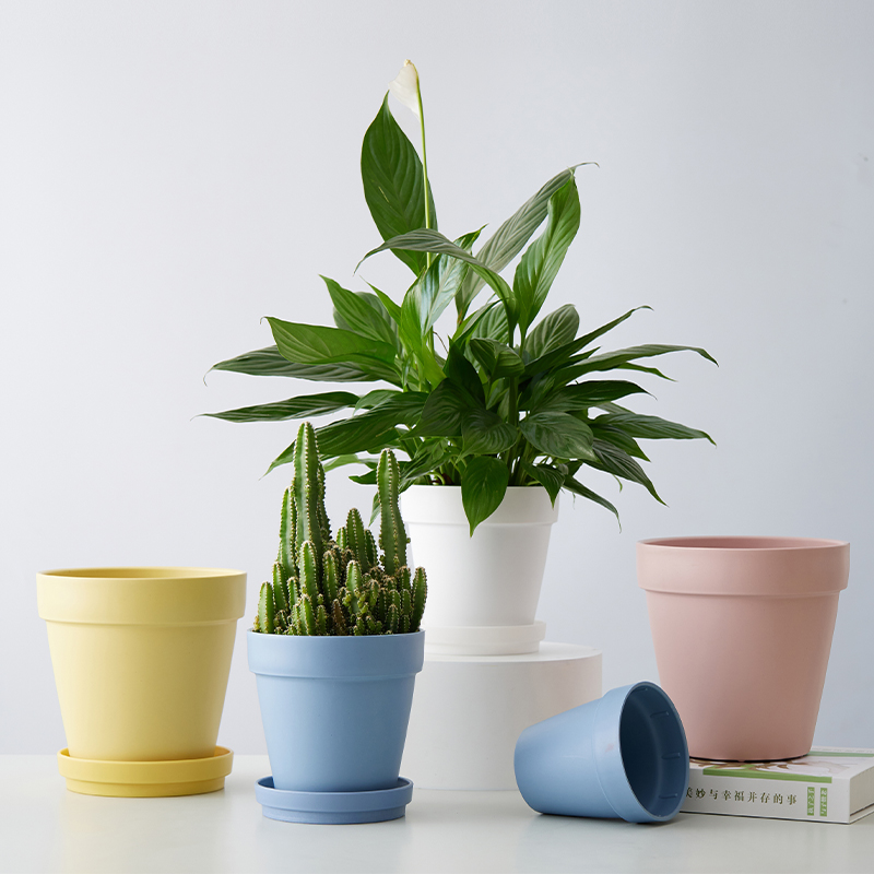 塑料树脂简约加大加厚