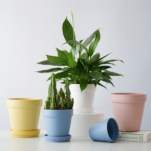 塑料树脂简约加大加厚