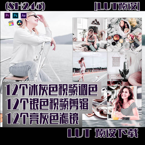 (SH245)12个冰灰色视频调色,银色视频剪辑,亮灰色滤镜LUT预设