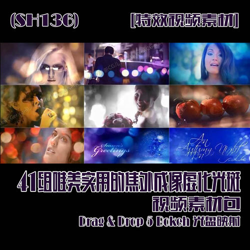 (SH136) 41组唯美实用的焦外成像虚化光斑视频素材包 光盘映射