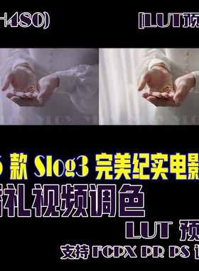 (SH480) 25个Slog3完美纪实电影婚礼视频调色LUT预设FCPXPRPS调色
