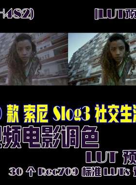 (SH482)30个索尼Slog3社交生活视频LUT和30个Rec709标准LUTs预设
