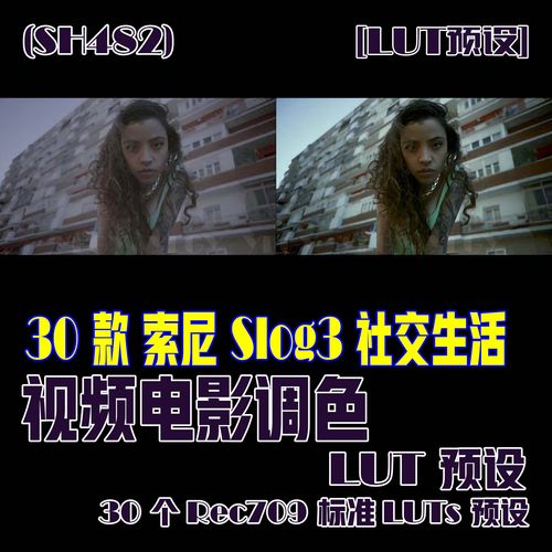 (SH482)30个索尼Slog3社交生活视频LUT和30个Rec709标准LUTs预设