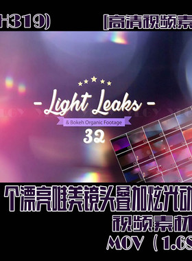 (SH319) 32个漂亮唯美镜头叠加炫光动画视频素材 1.68G