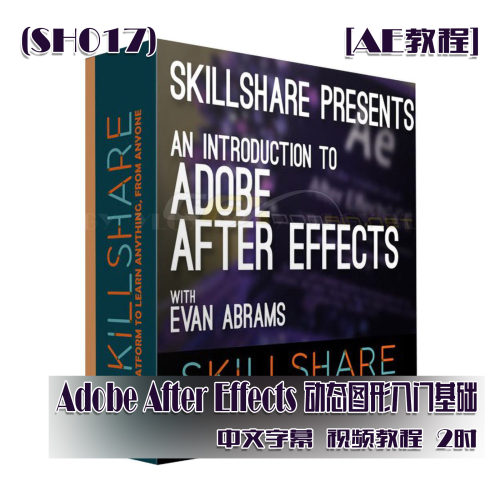 (SH017)Adobe After Effects 动态图形入门基础教程 中英字幕 2时