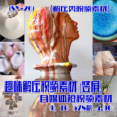 (SY026)趣味解压视频素材抖音快手自媒体短视频素材竖屏 578款 5G