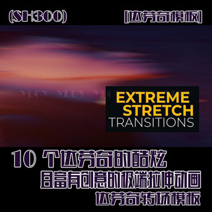 (SH301) 达芬奇模板 10个干净的照片标志标题展示达芬奇模板